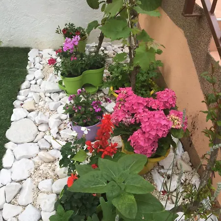 Ljiljana Apartman